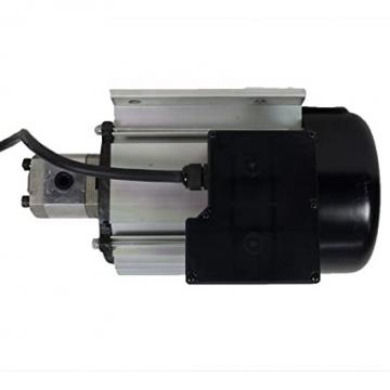 Pompa Idraulica per Massey Ferguson 396 (Motore 1006.6), 399 (10 + 8 cm ³)
