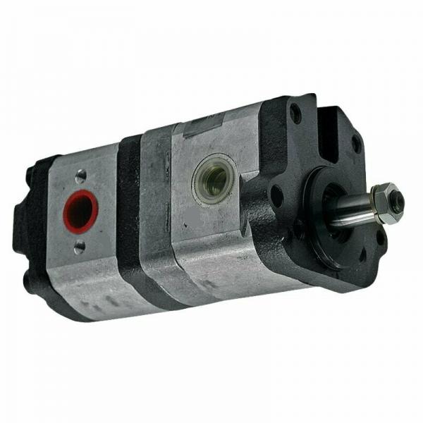 Massey Ferguson Hydraulic Oil Pump Repair Kit  #1 image