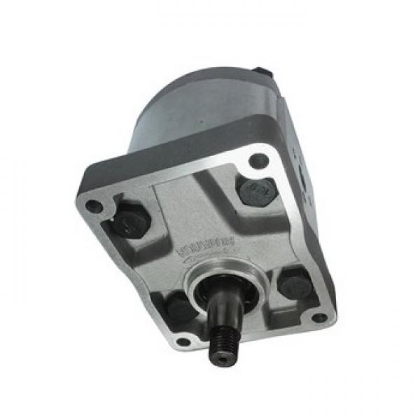 Kit kit blocco pompa idraulica per trattore Ford 601 801 2600 2000 3000 3600 400 #1 image