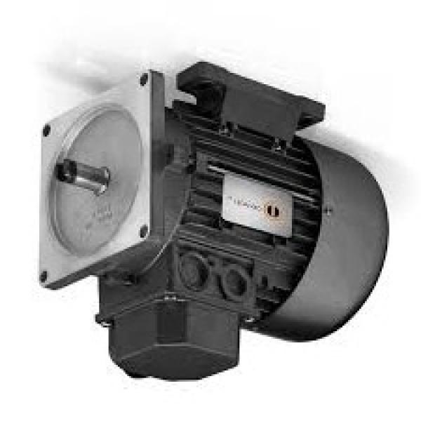 Pompa Idraulica per Case IH / Ihc C 55 64 70 , Cs 78 86 94 con Mwm - Motore #1 image