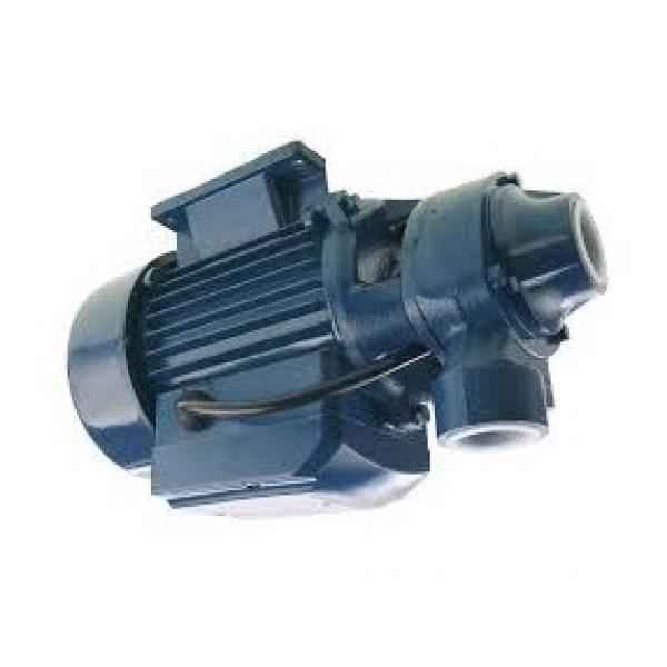 101-1705-009 Hydraulic Motor for RKI Winch & Small Water Pump #1 image