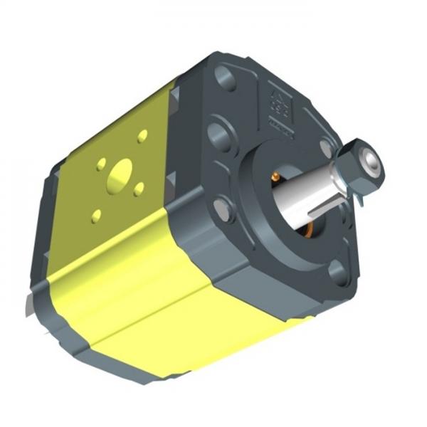 Motore idraulico oleodinamico ante battenti BFT LUX 2B P935011 00001 230V 2m #2 image
