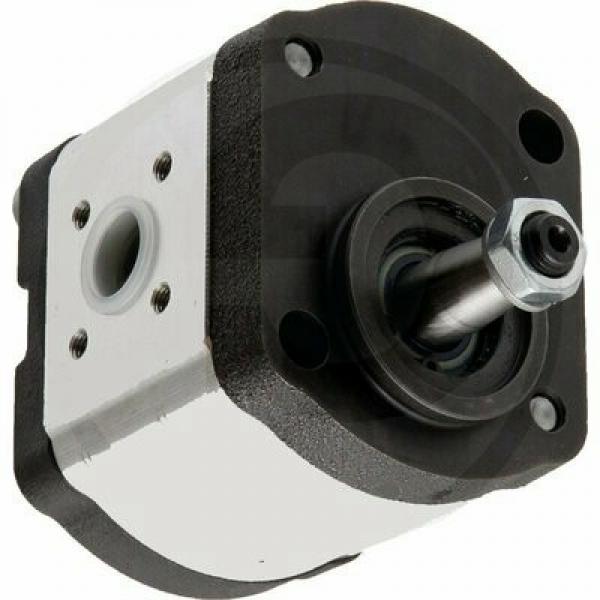 New Hydraulic Pump for Case IH MX series tractors - Part no NH-392694A1 #1 image