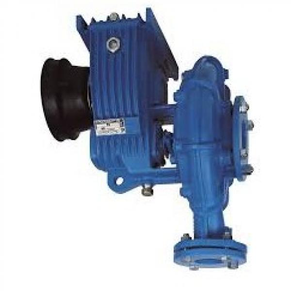 Hydraulic Pump for Case International BD144 BD154 B250 B275 B276 B414 384 434 #1 image