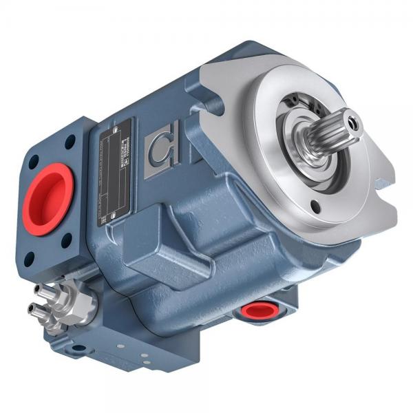 Loncin Motore Diesel Pompa Idraulica Set #1 image