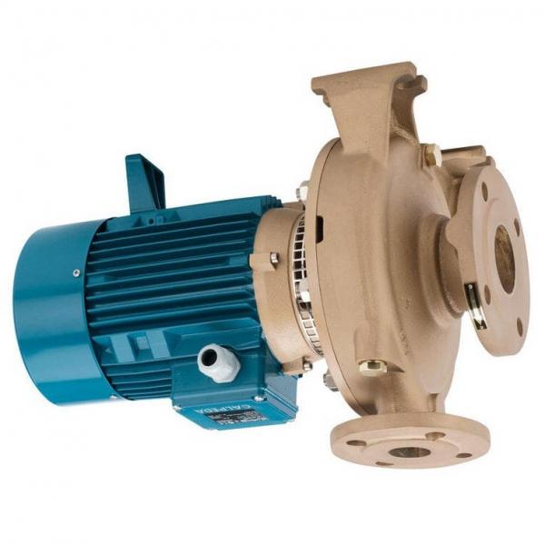 S203M-4100 Hydraulic belt drive plow pump small cast iron fluid  #2 image