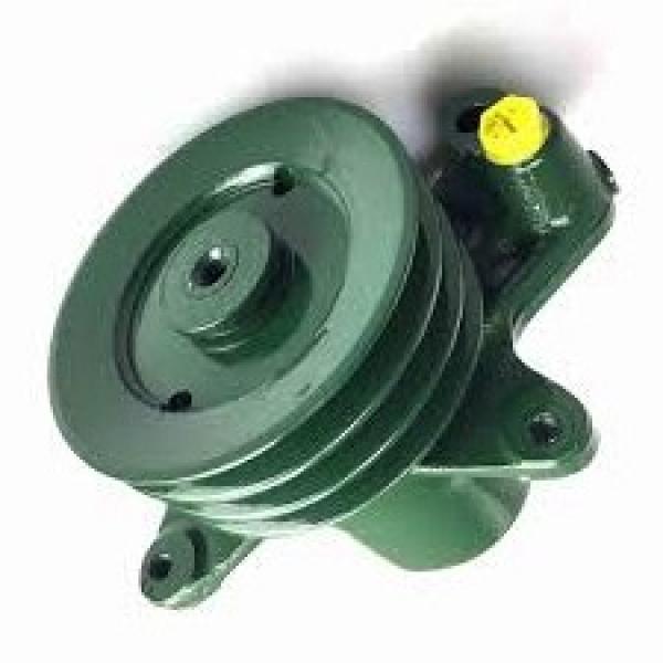 Pompa Idraulica per Case IH / Ihc Cs 78 80 86 94 100 con Valmet-Motor #1 image