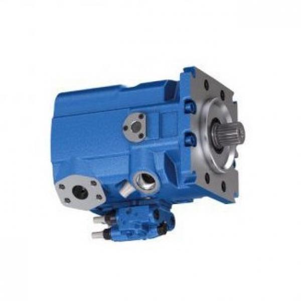 F01M101455 Kit Riparazione Pompa Carburante 1.3 Common Rail Guarnizioni Bosch #1 image