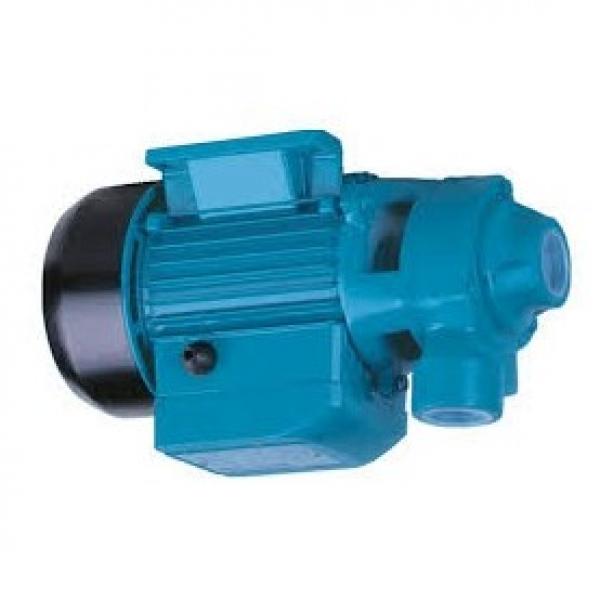 Pompa idraulica sommergibile idraulica 3700GPH 24V della pompa idraulica #2 image