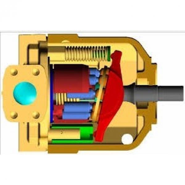 Kompass cilindrata Variabile Pompa A Pistone Idraulica 16CC MANUALE 30-215 BAR #2 image